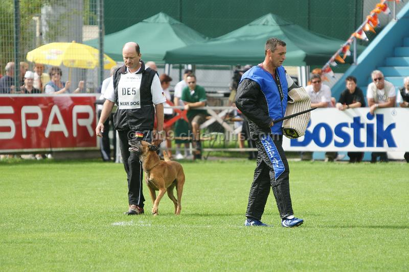 Anthrax vom Zabelstein615.JPG